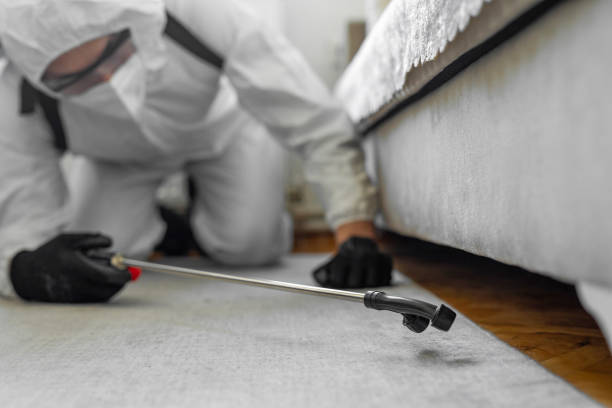 Professional Ant Control technician working in Glencoe, FL
